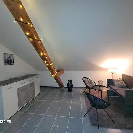 Penthouse N74 Linz 120 Qm Kids Welcome! Екстериор снимка
