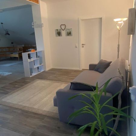 Penthouse N74 Linz 120 Qm Kids Welcome! Екстериор снимка