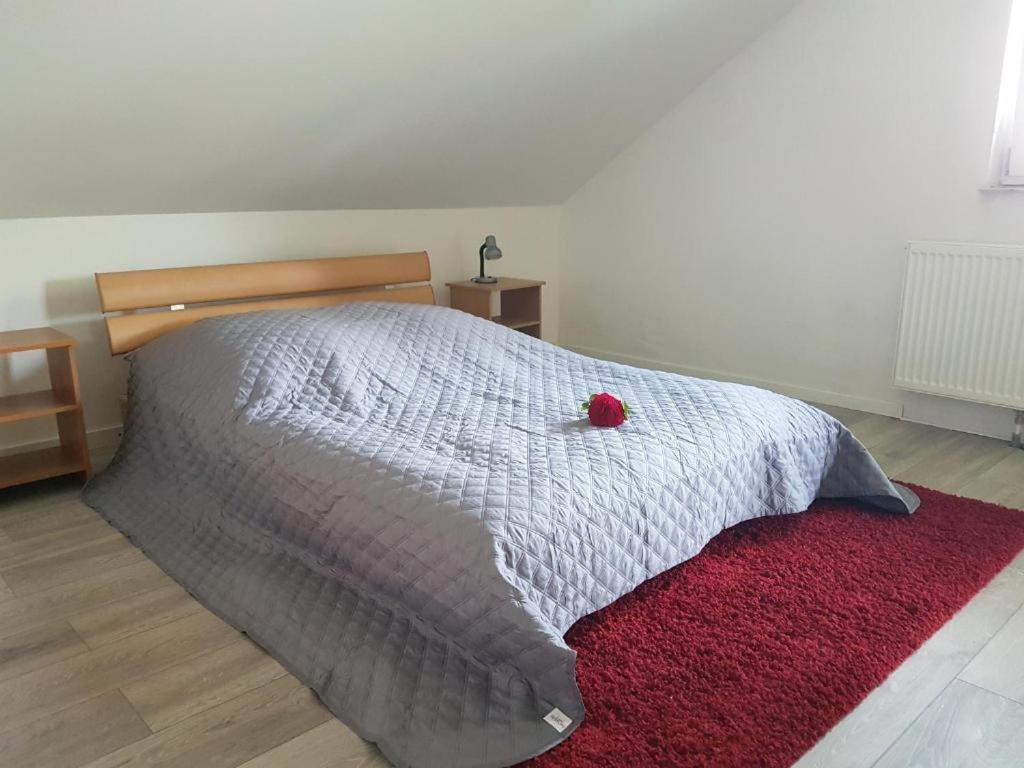 Penthouse N74 Linz 120 Qm Kids Welcome! Екстериор снимка