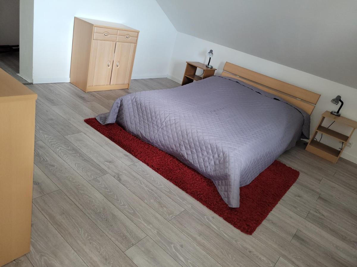 Penthouse N74 Linz 120 Qm Kids Welcome! Екстериор снимка