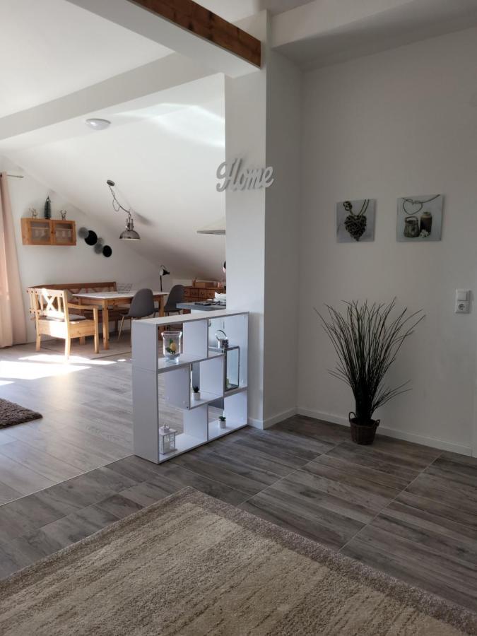 Penthouse N74 Linz 120 Qm Kids Welcome! Екстериор снимка