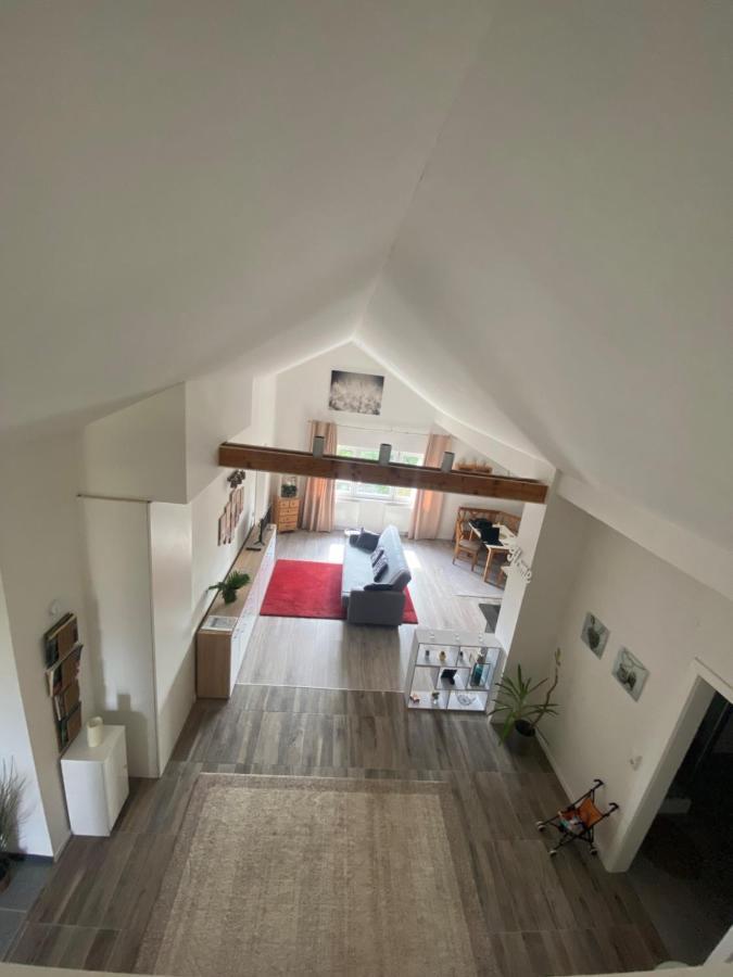 Penthouse N74 Linz 120 Qm Kids Welcome! Екстериор снимка