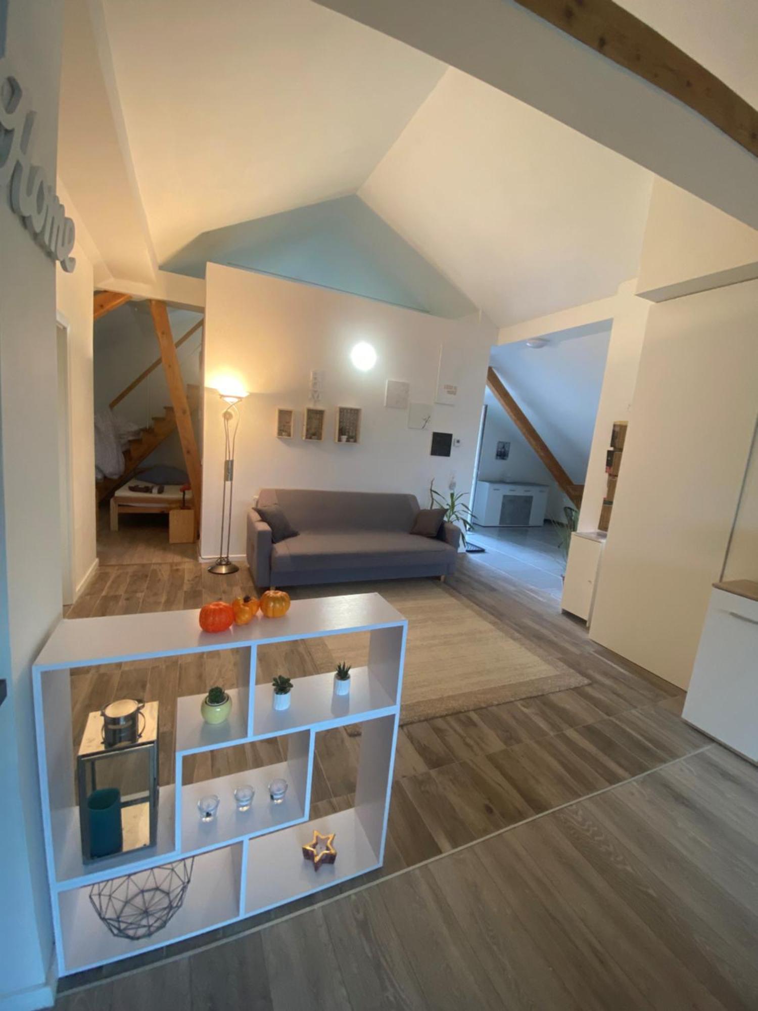 Penthouse N74 Linz 120 Qm Kids Welcome! Екстериор снимка